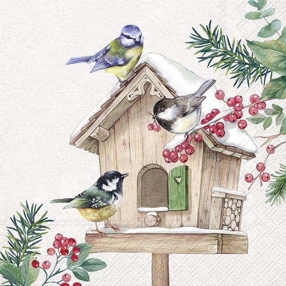 Lautasliina Birds Meeting Point 33cm